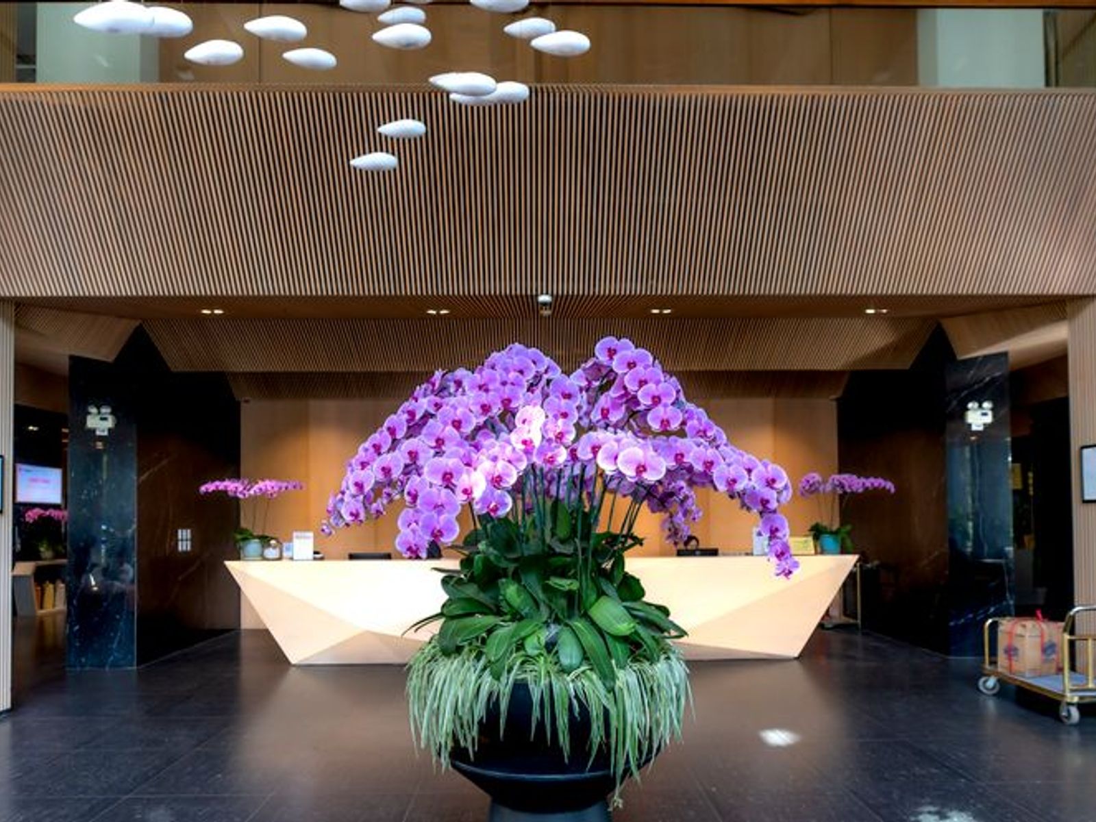 Sanouva Danang Hotel